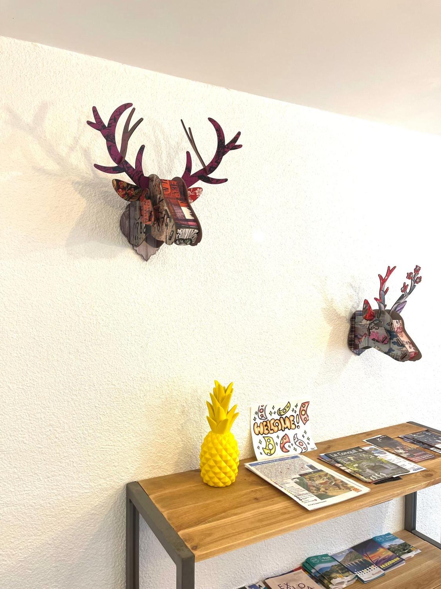 Appartement Dans Le Quartier Recherche Du Moure Collioure Bagian luar foto