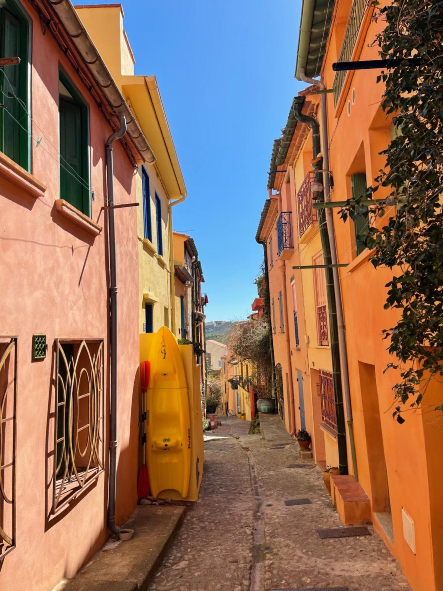 Appartement Dans Le Quartier Recherche Du Moure Collioure Bagian luar foto